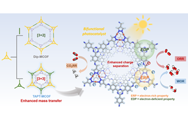 Synergistic structural and electronic regulation of copper-based metal-covalent organic frameworks for improving bifunctional photocatalysis  2026.101079